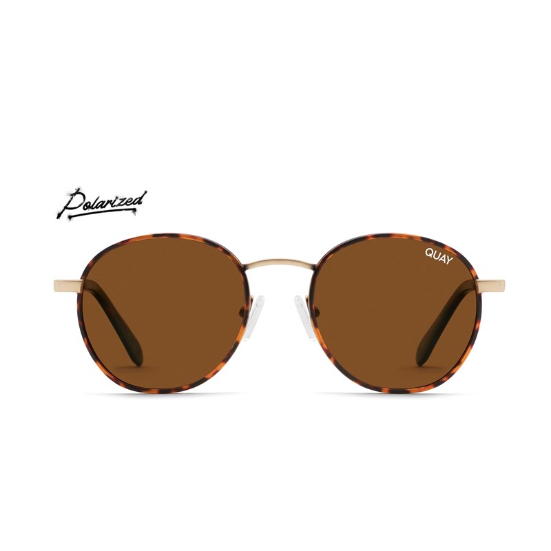 Tortoise / Brown Polarized Quay TALK CIRCLES Women's Sunglasses | AVCTP-6378