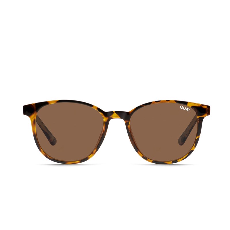 Tortoise / Clear Rx Quay BLUEPRINT OVERSIZED RX Unisex Prescription Sunglasses | HEMAR-3478