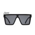 Black / Smoke Polarized