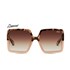 Tortoise / Brown Polarized