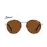 Tortoise / Brown Polarized